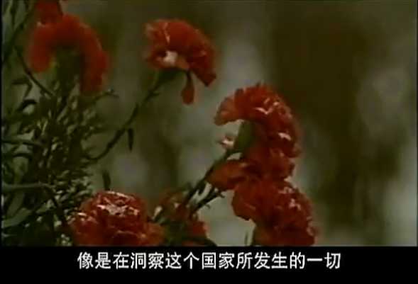 b8d8dd5a4602f177f65b2b02b54a4601.jpg