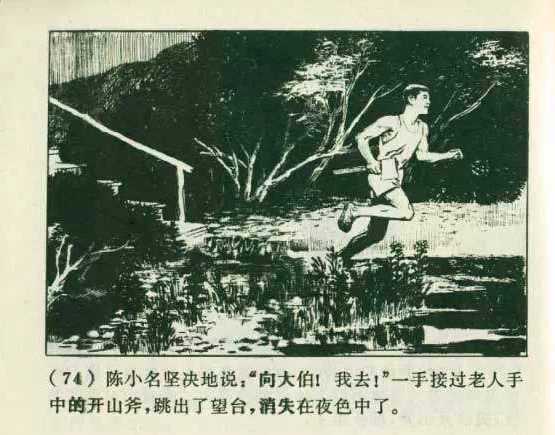 798cc9c80186422714bdb4ce800babd1.jpg