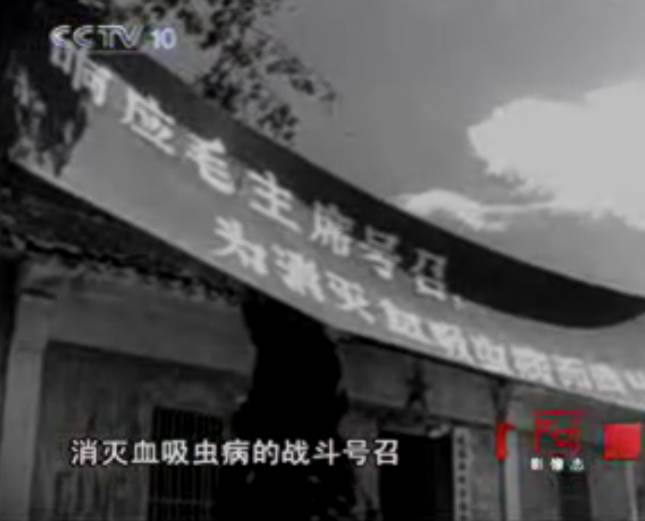 c500f43868e9baba8f9cfa19622fc8f2.jpg