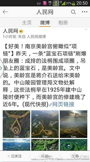 0f737b2edeb45cd5837c6d26a8638335.jpg