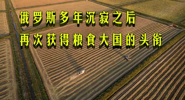 432db13de9fb6a75481cbc1954981a98.jpg