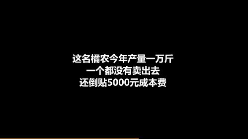 6032ba318adbb82c0d7bf8b67c851429.jpg