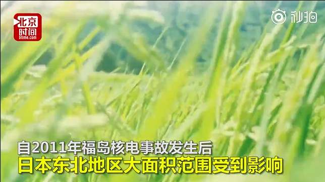d5ff14115cd466cb215643964acef5a1.jpg